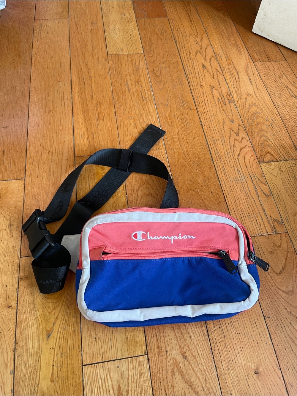 Champion Two-Tone Waist Pack in Blue and Pink